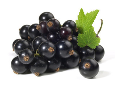 Produktfoto zu Johannisbeere, schwarz, 250 g
