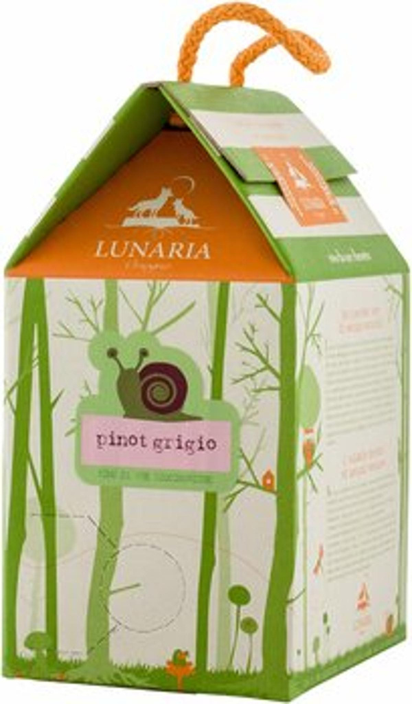 Produktfoto zu Pinot Grigio Terre di Chieti