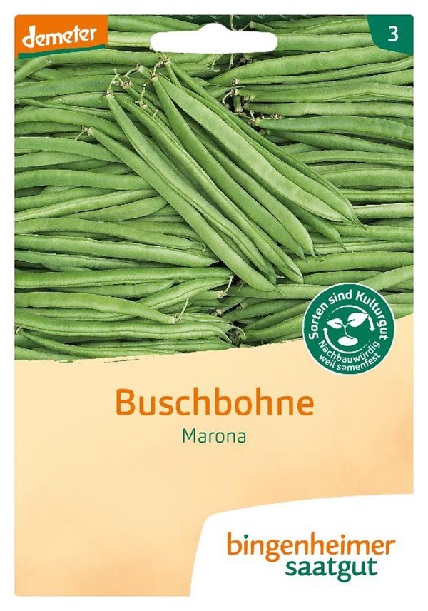 Produktfoto zu Saatgut Buschbohne