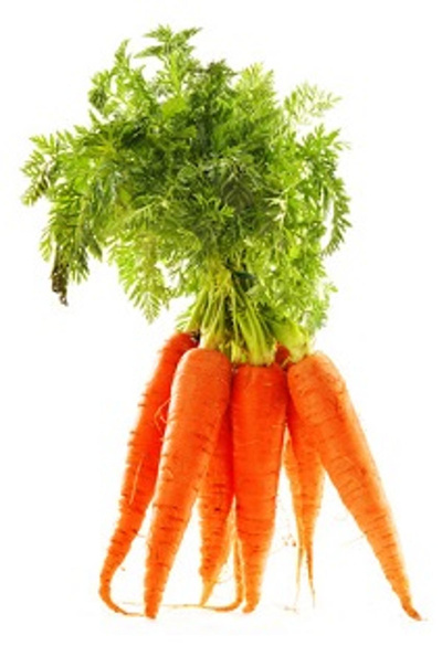 Produktfoto zu Bundmöhren