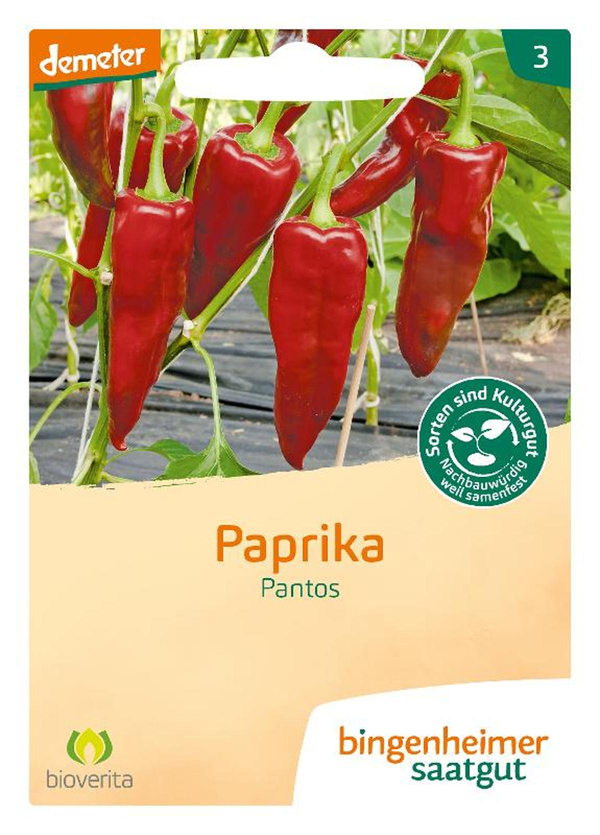 Produktfoto zu Pantos - Paprika (Saatgut)