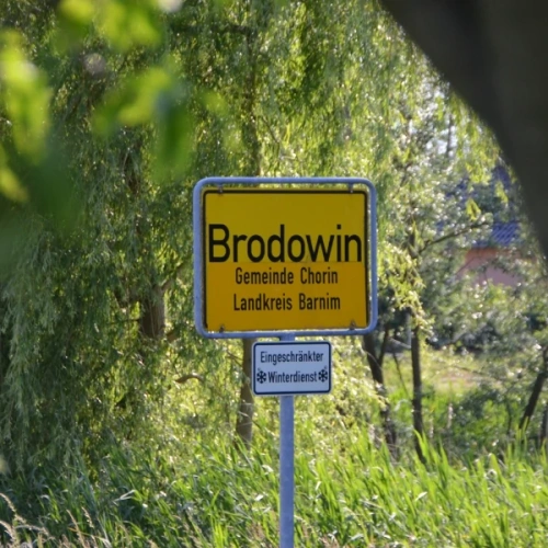 KI generiert: Das Bild zeigt einen Geschenkkorb mit einer Vielzahl von Bio- und Feinkostlebensmitteln, darunter Kaffee, Saft, Schokolade und Gewürze. Die Produkte sind ansprechend in einem Karton arrangiert.