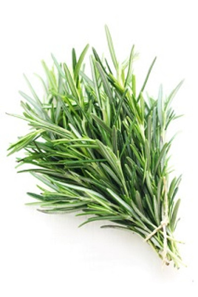 Produktfoto zu Rosmarin, Bund