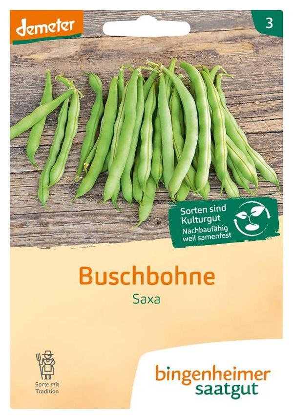 Produktfoto zu Saatgut Buschbohne Saxa