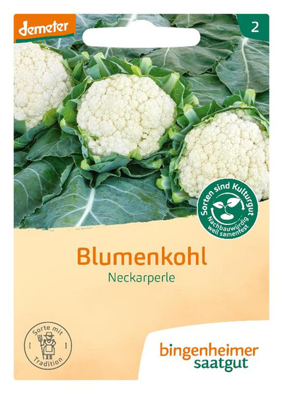 Produktfoto zu Saatgut Blumenkohl