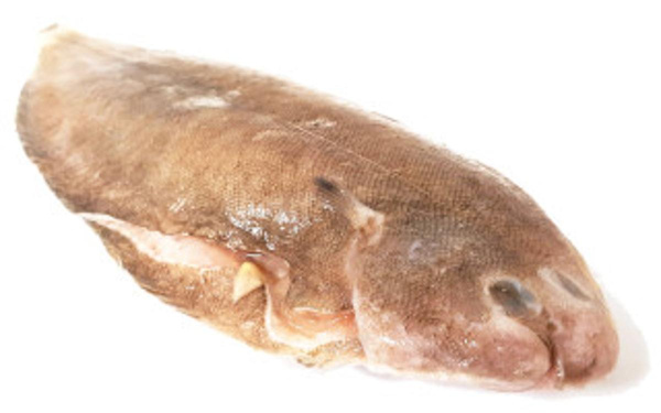 Produktfoto zu TK Seezunge, ganz