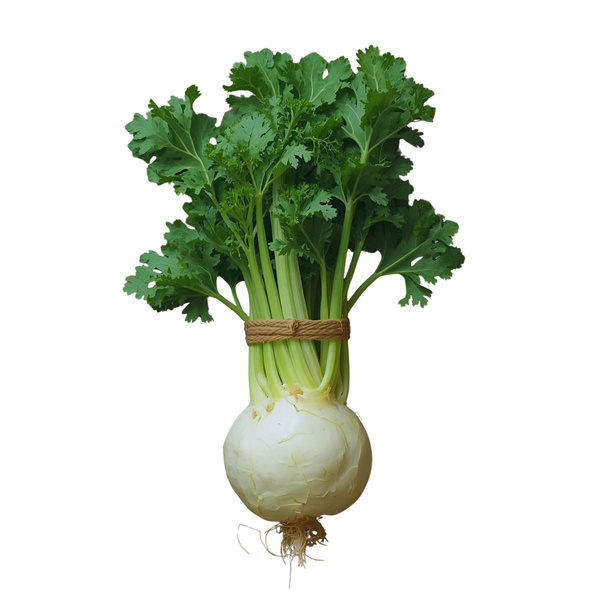Produktfoto zu Knollensellerie