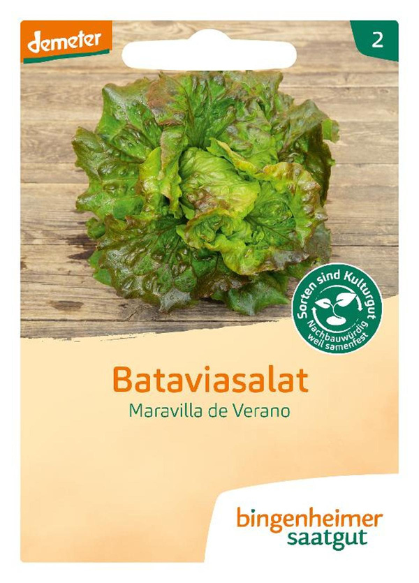 Produktfoto zu Saatgut Bataviasalat