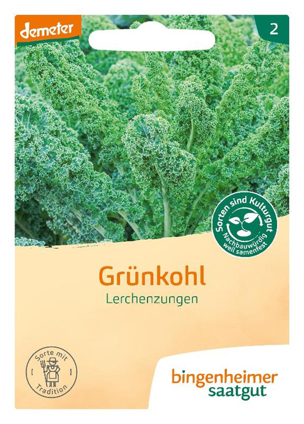 Produktfoto zu Saatgut Grünkohl