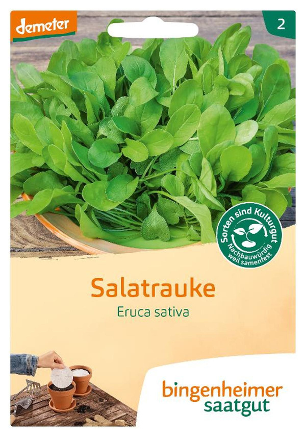 Produktfoto zu Saatgut Salatrauke