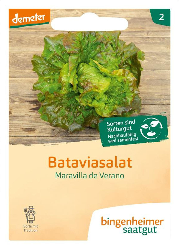 Produktfoto zu Saatgut Bataviasalat