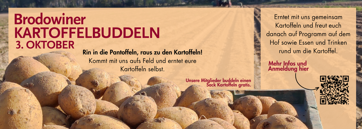 KI generiert: Brodowiner Kartoffelbuddeln am 3. Oktober. Text: "Rin in die Pantoffeln, raus zu den Kartoffeln!"