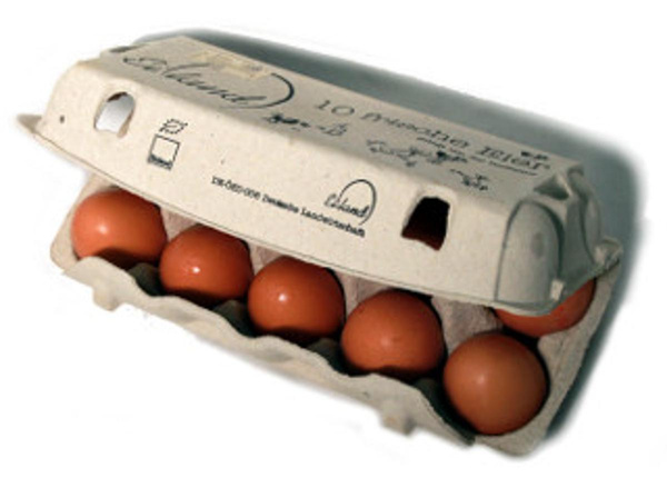 Produktfoto zu Eier, 10 Stück