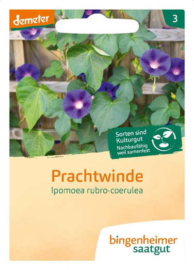 Produktfoto zu Saatgut Prachtwinde