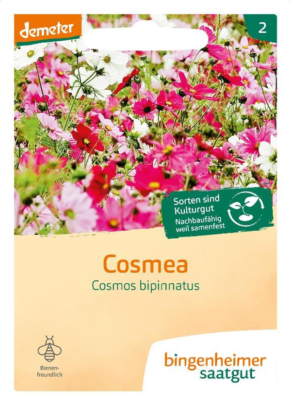 Produktfoto zu Saatgut Cosmea