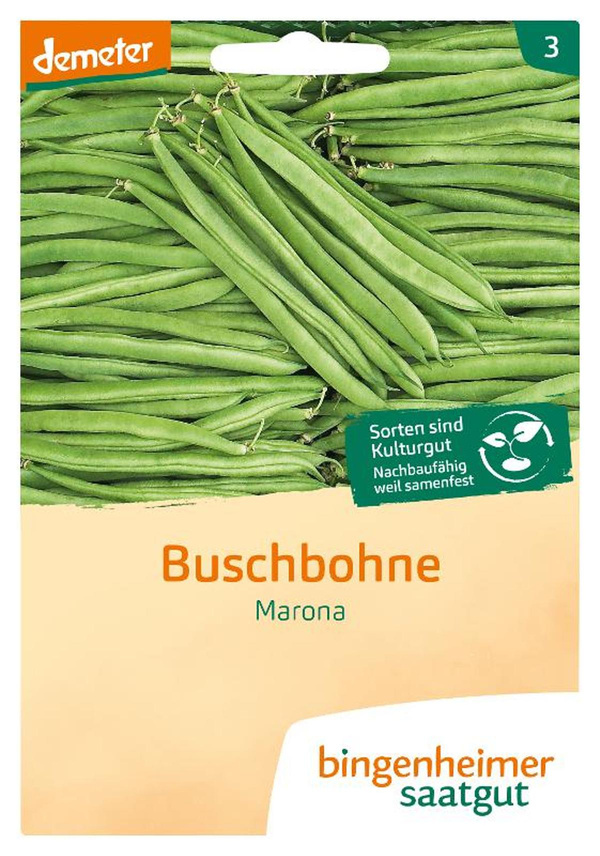 Produktfoto zu Saatgut Buschbohne