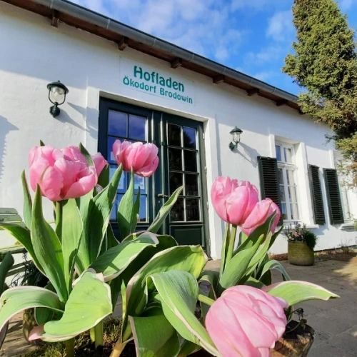KI generiert: Das Bild zeigt eine grüne Kiste voller frischem Gemüse, darunter Brokkoli, Karotten, Paprika, Zucchini, Kohl und Fenchel. Der Hauptinhalt ist eine vielfältige Auswahl an gesunden, bunten Gemüsesorten.