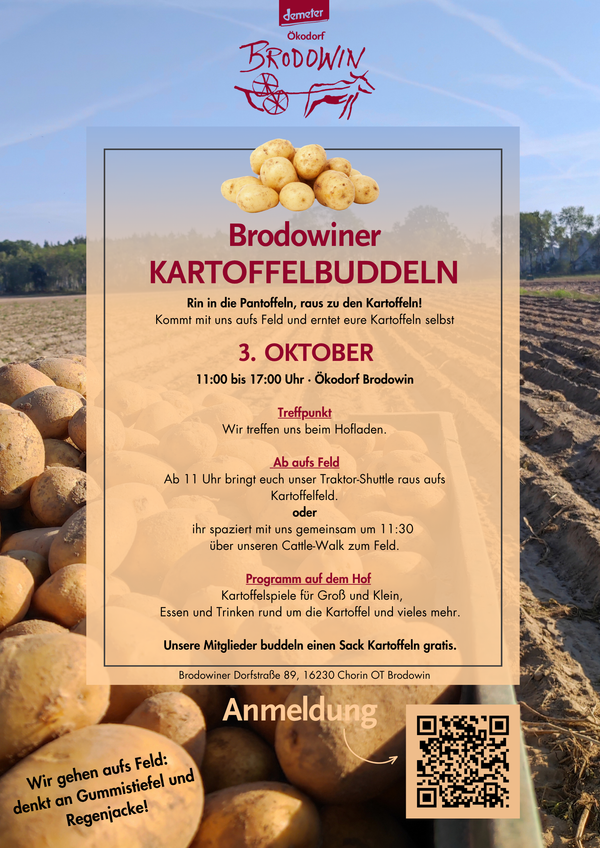 KI generiert: Hauptinhalt: Veranstaltungshinweis für Kartoffelbuddeln am 3. Oktober.