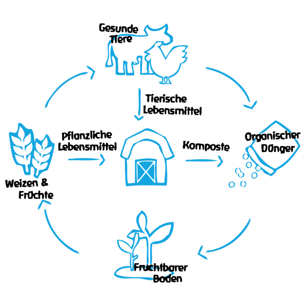 KI generiert: Ein Diagramm zeigt einen landwirtschaftlichen Kreislauf mit Tieren, Pflanzen und Kompost.
