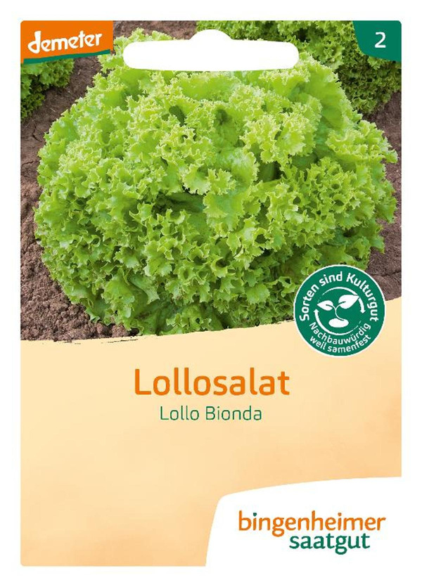 Produktfoto zu Saatgut Lollo Bionda - Lollosalat