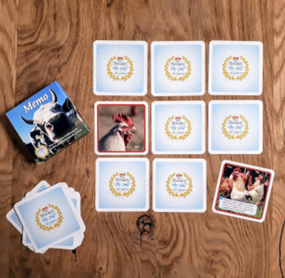 Produktfoto zu Memo-Spiel