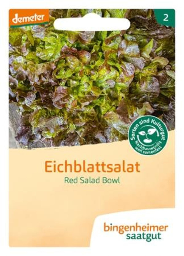 Produktfoto zu Saatgut Eichblatt Red Salad Bowl