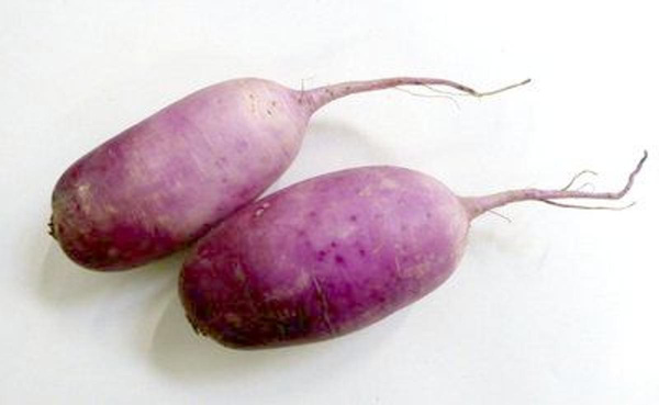 Produktfoto zu Rettich, weißa-blau