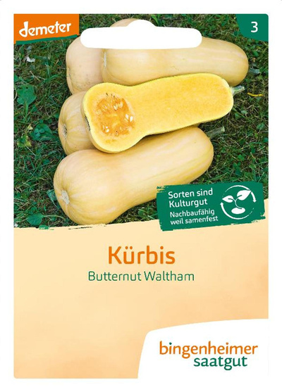 Produktfoto zu Saatgut Kürbis Butternut