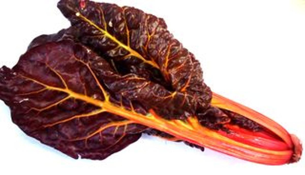 Produktfoto zu Mangold bunt