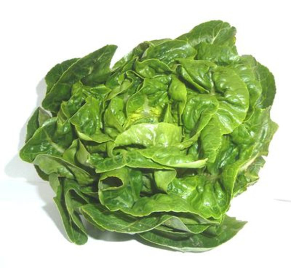 Produktfoto zu Mini Romanasalat