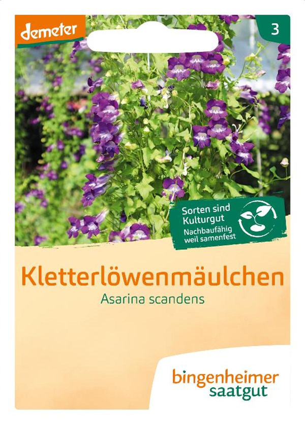 Produktfoto zu Kletterlöwenmäulchen