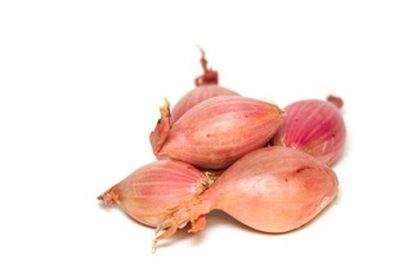 Produktfoto zu Schalotten lose