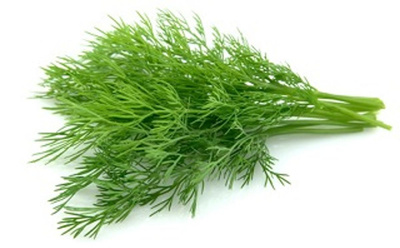 Produktfoto zu Dill