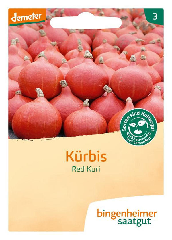Produktfoto zu Saatgut Hokkaido Kürbis