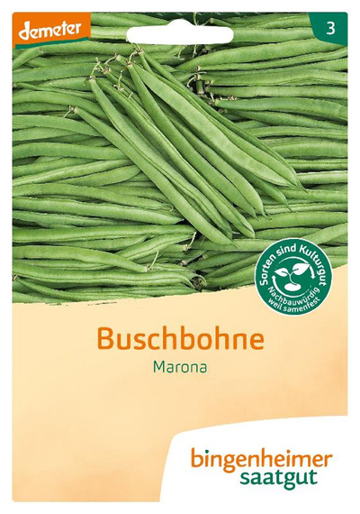 Produktfoto zu Saatgut Buschbohne