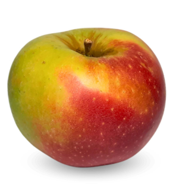 Produktfoto zu Apfel Freya