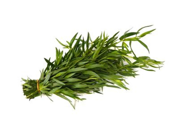 Produktfoto zu Estragon