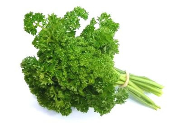 Produktfoto zu Petersilie, kraus