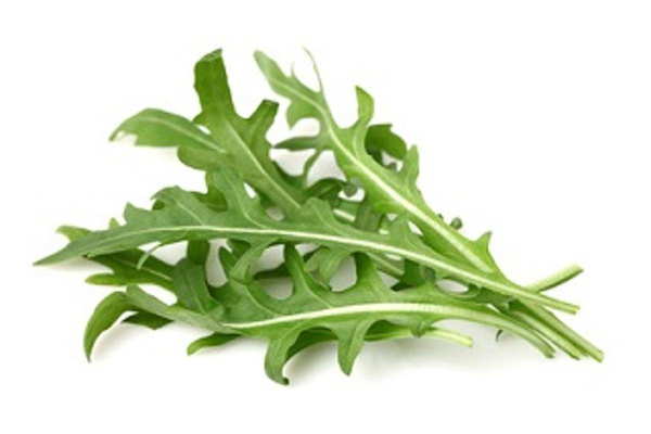 Produktfoto zu Rucola Salat, 100 g