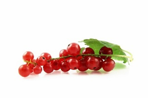 Produktfoto zu Johannisbeeren, rot 250 g