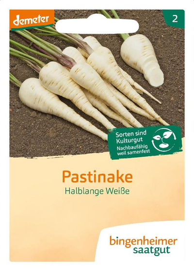 Produktfoto zu Saatgut Pastinake