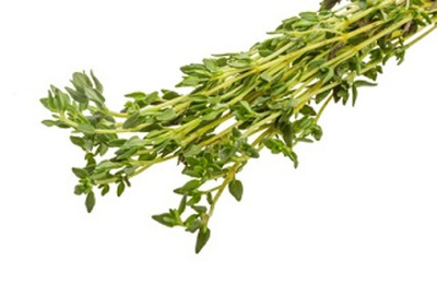 Produktfoto zu Thymian, Bund