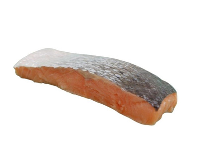 Produktfoto zu TK Bio Lachsfilet 160 g