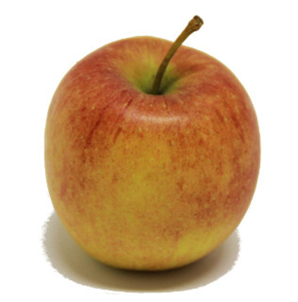 Produktfoto zu Apfel Holsteiner Cox