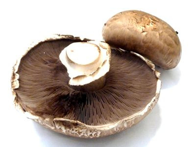 Produktfoto zu Portobello