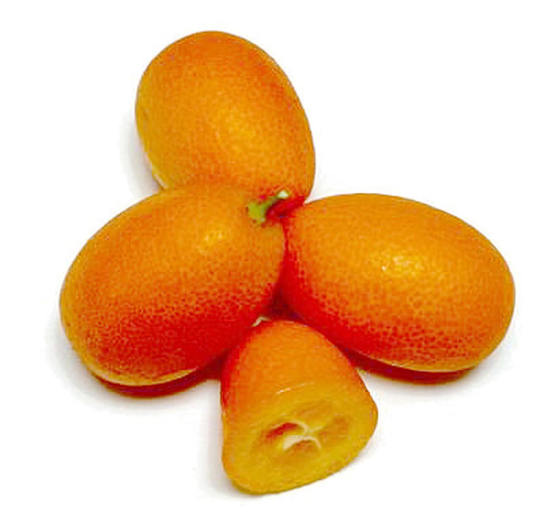 Produktfoto zu Kumquat