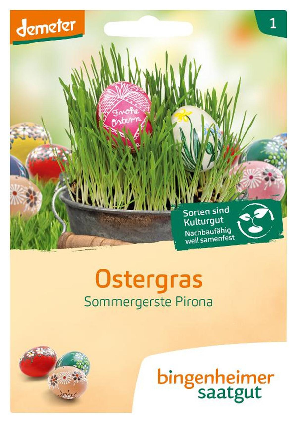 Produktfoto zu Ostergras