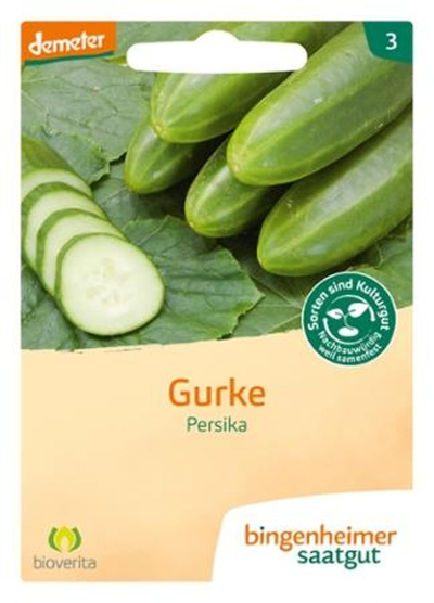 Produktfoto zu Saatgut Freilandgurke