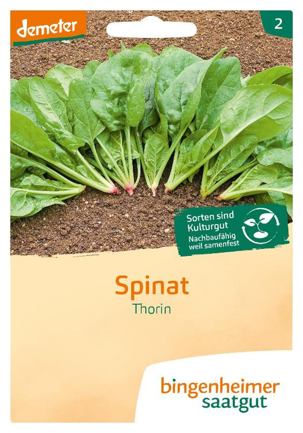 Produktfoto zu Saatgut Spinat Thorin
