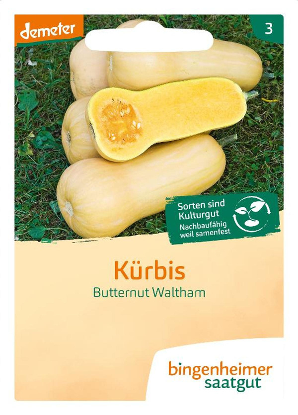 Produktfoto zu Saatgut Kürbis Butternut